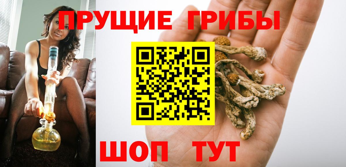 купить   Псилоцибиновые грибы Psilocybe  Вход с VPN  Заволжье  Галлюциногенные грибы Psilocybe 